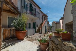 an alley with potted plants on the side of a building at Le Cote di Seccheto - Goelba in Seccheto +15 photos