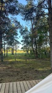 a view of a park with trees and a wooden deck at Merevaatega Glämping Sarvel in Kukka +1 photo