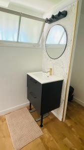 a bathroom with a sink and a mirror at Studio Saint Julien de Concelles 5 minutes de la Loire in Saint-Julien-de-Concelles +20 photos