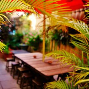 a wooden table in a garden with plants at Hostel Galeria 13 in Salvador