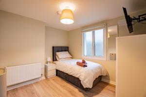 a teddy bear sitting on a bed in a bedroom at Flexistays - Private En-Suite Studios - Kinnegad in Kinnegad