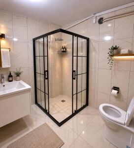 a bathroom with a shower and a toilet and a sink at Trabzon Albayrak Suite in Trabzon +20 photos