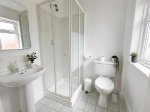 a bathroom with a shower and a toilet and a sink at Renard Lodge in Cahersiveen