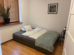 a small bed in a room with a window at Apartament za ratuszem in Tarnowskie Góry