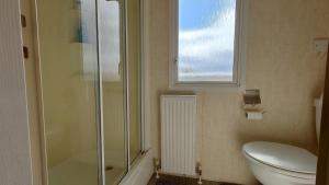 a bathroom with a shower and a toilet and a window at Sanderling Bluebird 14 in Cruden Bay