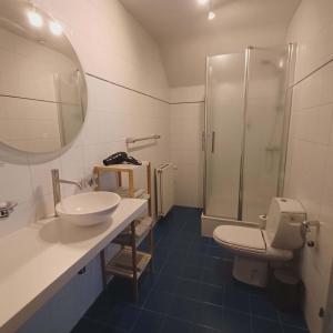 a bathroom with a sink and a toilet and a shower at B&B Madoli in Érezée +33 photos