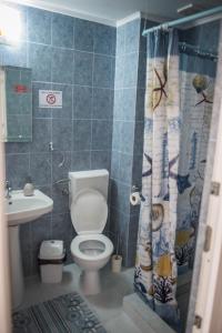 a bathroom with a toilet and a shower curtain at Casa Albă in Sănduleşti +48 photos