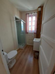 a bathroom with a toilet and a shower and a sink at Les Centaurées in Égletons