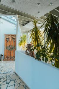 a room with a table with plants and a door at Hotel Leidinger - ehemalige Domicil und Domaine Leidinger in Saarbrücken +26 photos