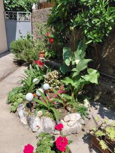a garden with flowers and plants on a sidewalk at Agica apartment in Škaljari