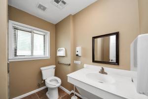 a bathroom with a toilet and a sink and a mirror at Lofty Grace Home 2 in Richmond