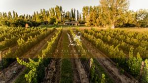 Fotografija v galeriji nastanitve Finca El Maitén. Posada Boutique v mestu San Rafael