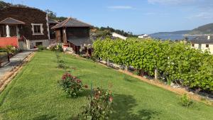 a garden with vines and flowers and a house at Casa do Lagar, Praia da Abrela in O Vicedo