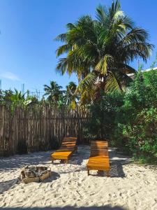 three benches sitting on a beach with a palm tree at Casa Martine in El Cuyo