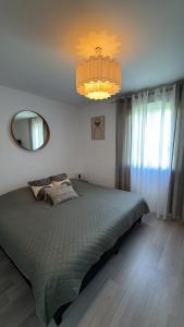 a bedroom with a bed and a large mirror at Villa Troyes piscine chauffée sans vis à vis et jacuzzi massant in Saint-André-les-Vergers +48 photos