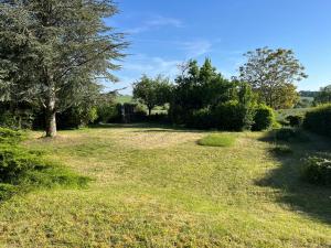 a field of grass with a tree and bushes at Maison Vexin in Boury-en-Vexin