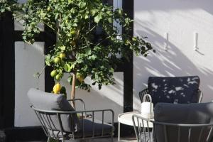 a table and chairs next to a potted tree at Hotell Bäckagården in Ystad