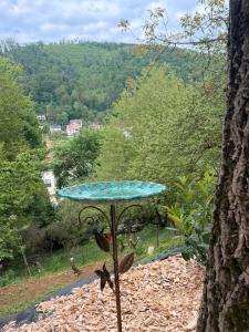 a bird feeder sitting on top of a tree at Sunny Garden House in Martinske Hole +112 photos
