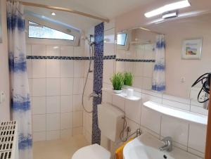 a bathroom with a shower and a toilet and a sink at Ferienwohnung Graf Strandgut in Karlshagen