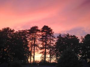 a group of trees in front of a sunset at Brewhouse - Uk48743 in Llandybie