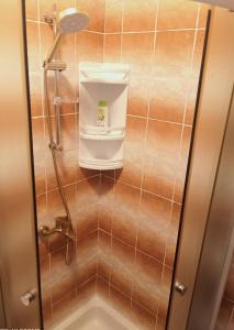 a bathroom with a shower stall with a sink at Villa Abelia in Medulin +53 photos