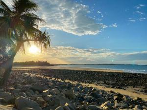 a beach with a palm tree and rocks and the ocean at U240 Dhr in Eimeo +3 photos