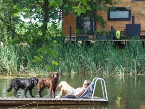 Et eller flere kæledyr der bor med gæster på Tiny House am Naturteich mit Grill & Kamin - bis 5 Personen + 17 billeder