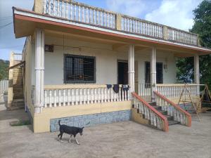 a cow walking in front of a house at Basant - Madhu in Alibaug