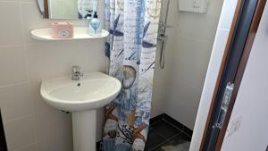 a bathroom with a sink and a shower at CASA ROTARU in 2 Mai +65 photos