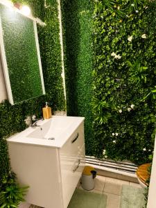 a bathroom with a green wall with a sink at Appartement hyper centre de Mons in Mons
