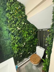 a bathroom with a green wall with a toilet at Appartement hyper centre de Mons in Mons