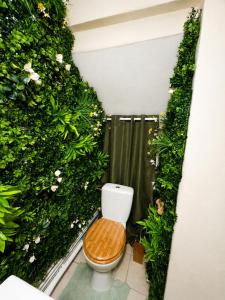a bathroom with a toilet with a green wall at Appartement hyper centre de Mons in Mons