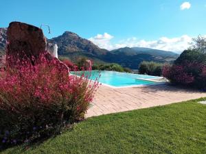 a swimming pool in a garden with mountains in the background at Agriturismo B&B Casteldoria in Santa Maria +10 photos