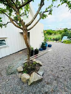 a tree in a pile of rocks next to a building at Family Cabin With A View in Mandal
