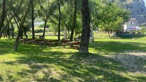 a group of picnic tables in a park with trees at Camping Two Rivers in Shkodër