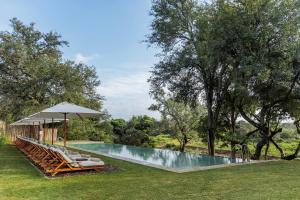 a swimming pool with lounge chairs and an umbrella at Karongwe - Becks Safari Lodge in Hoedspruit