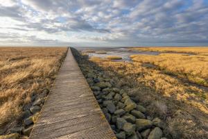 a wooden path through a marsh with a river at Nordic Vida Hotel in Cuxhaven +22 photos