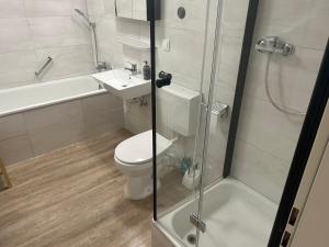 a bathroom with a toilet and a sink and a shower at Ferienwohnung Truckses Schluchsee in Schluchsee