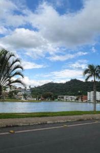 a river with a palm tree next to a street at Sobrado em volta do lago in Lindóia