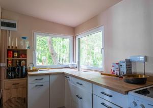 a kitchen with white cabinets and two windows at Mchowa Chata in Słupia