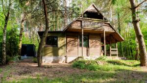 a tiny house in the woods with a porch at Mchowa Chata in Słupia