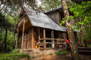 a log cabin in the woods with a tree at Mchowa Chata in Słupia +7 photos