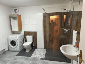a bathroom with a toilet sink and a washing machine at Motoráj -apart Kutná Hora in Kutná Hora +7 photos