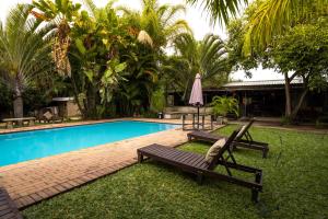 a pool with a bench and a table and a umbrella at AfriCamps Hoedspruit in Hoedspruit