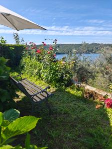 a bench sitting in the grass with a view of the water at Quinta do Chaparrinho in Sardoal