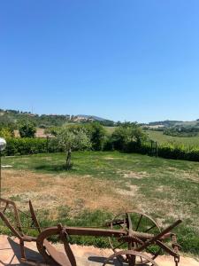 a metal bench sitting in a field of grass at Da Elio in Montacuto