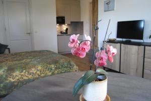 a vase with pink flowers on a table in a bedroom at Aan de Dijk in Edam