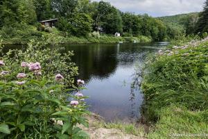 a river with pink flowers in front of a river at La Tour Boisée with Private Spa & Pool, Pool Table in Sainte Béatrix