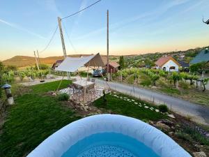 a backyard with a swimming pool and a tent at Szőlők közt Apartman in Dunaszentmiklós