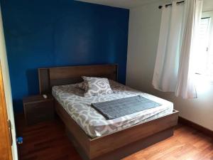 a bedroom with a bed with a blue wall at Villa melys in Petite Île